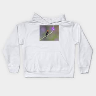 A Male Tufted Coquette Hummingbird in Trinidad Kids Hoodie